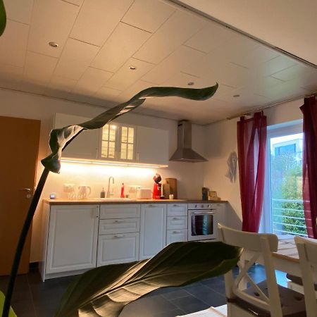 Moderne Ferienwohnung Seeblick Freudenberg  Zewnętrze zdjęcie