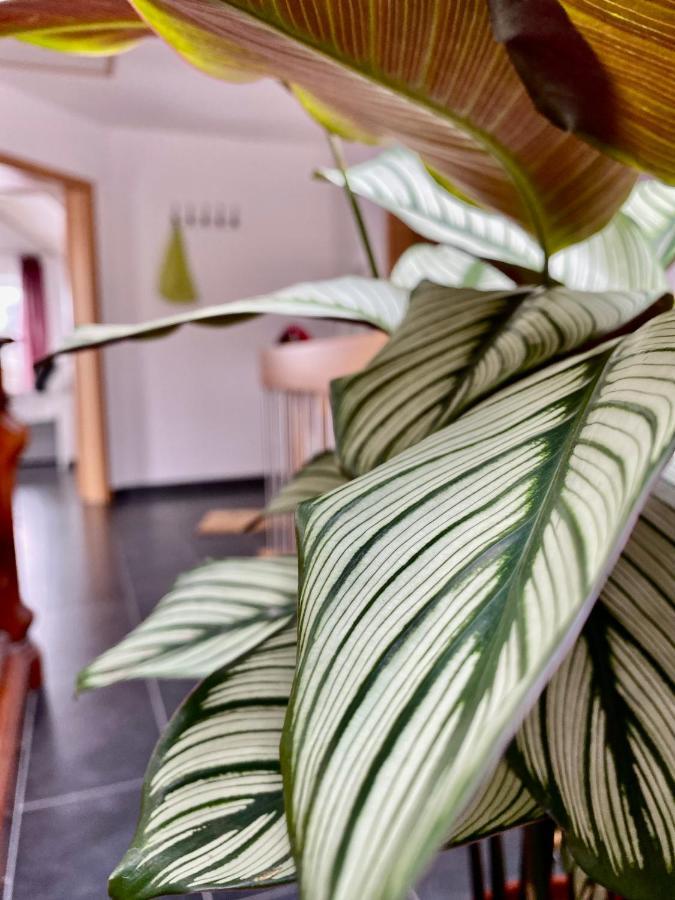 Moderne Ferienwohnung Seeblick Freudenberg  Zewnętrze zdjęcie